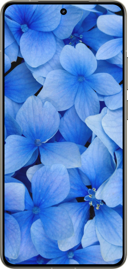 Силиконовый чехол Синие цветы для Realme GT 7 Pro - 526u-3893 изображение 