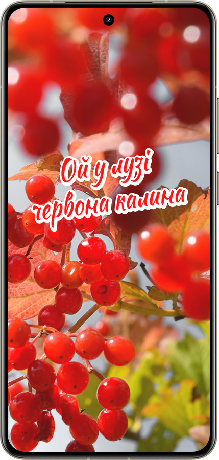 Силиконовый чехол Калина для Realme GT 7 Pro - 5454u-3893 изображение 