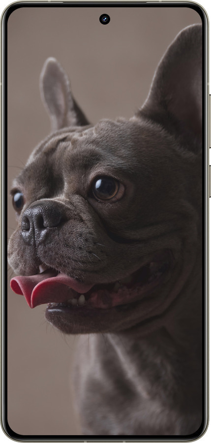 Силиконовый чехол Милый бульдог для Realme GT 7 Pro - 5546u-3893 изображение 
