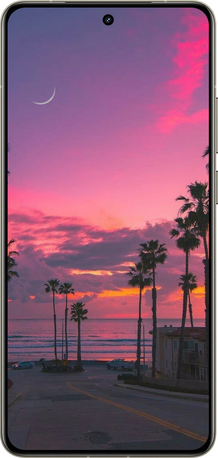 Силиконовый чехол Пальмы для Realme GT 7 Pro - 5873u-3893 изображение 