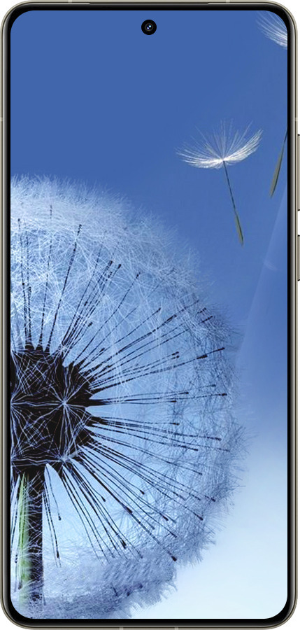 Силиконовый чехол Одуванчик для Realme GT 7 Pro - 6005u-3893 изображение 