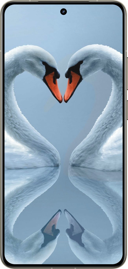 Силиконовый чехол Лебеди для Realme GT 7 Pro - 6007u-3893 изображение 