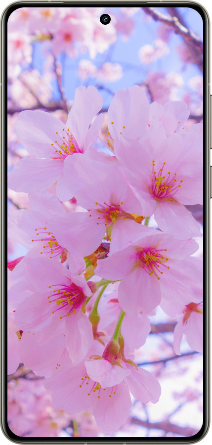 Силиконовый чехол Сакура для Realme GT 7 Pro - 6029u-3893 изображение 