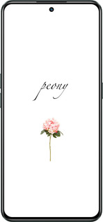 Силіконовий чехол Півонія для Realme GT Neo3 - 4366u-2590 изображение 