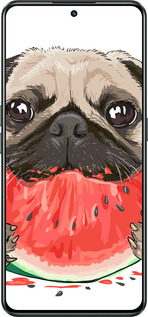 Силиконовый чехол Мопс и арбуз для Realme GT Neo3 - 4665u-2590 изображение 