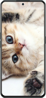 Силиконовый чехол Котик для Realme GT Neo3 - 6024u-2590 изображение 