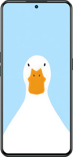 Силиконовый чехол Гусь для Realme GT Neo3 - 6350u-2590 изображение 