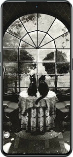 Силиконовый чехол Череп и коты для Realme GT Neo3 - 6432u-2590 изображение 