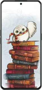 Силиконовый чехол Сова и книги для Realme GT Neo3 - 6436u-2590 изображение 