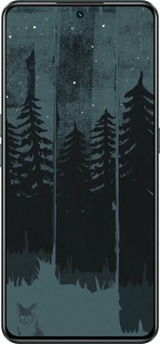 Силиконовый чехол Лиса и ночной лес для Realme GT Neo3 - 6481u-2590 изображение 