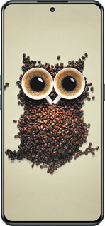 Силиконовый чехол Сова из кофе для Realme GT Neo3 - 777u-2590 изображение 