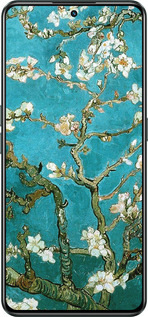 Силиконовый чехол Винсент Ван Гог. Сакура для Realme GT Neo3 - 841u-2590 изображение 