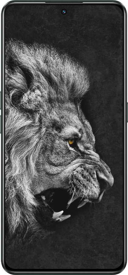 Силиконовый чехол Лев для Realme GT Neo3 - 1080u-2590 изображение 