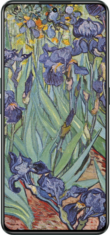 Силиконовый чехол Винсент Ван Гог. Ирисы для Realme GT Neo3 - 161u-2590 изображение 