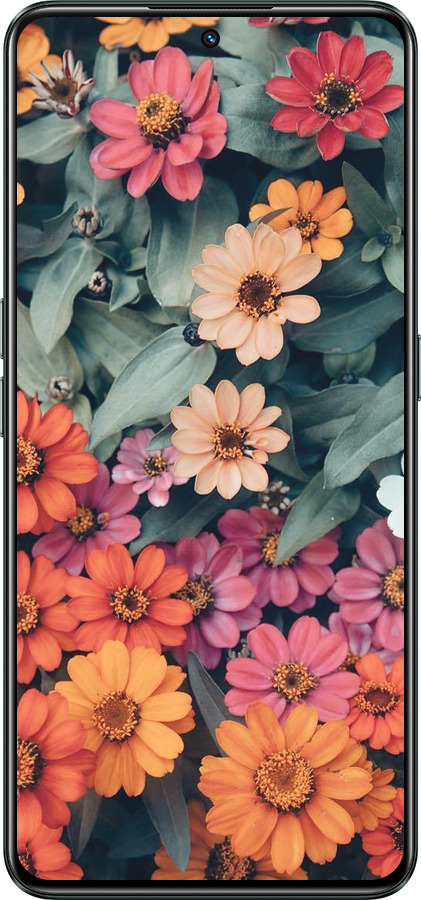 Силиконовый чехол Beauty flowers для Realme GT Neo3 - 4050u-2590 изображение 