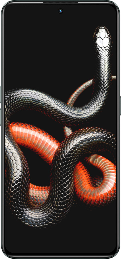 Силиконовый чехол Красно-черная змея на черном фоне для Realme GT Neo3 - 4063u-2590 изображение 