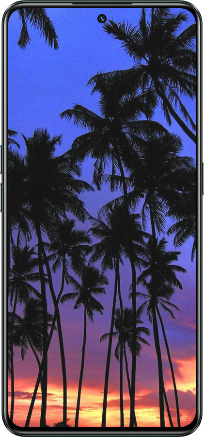 Силіконовий чехол Пальми для Realme GT Neo3 - 4324u-2590 изображение 