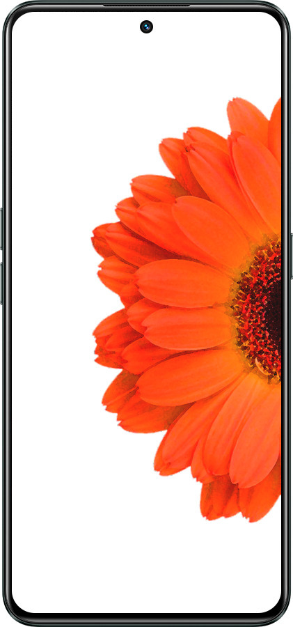 Силиконовый чехол Гербера 1 для Realme GT Neo3 - 4534u-2590 изображение 