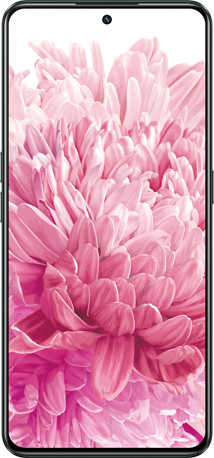 Силиконовый чехол Хризантема для Realme GT Neo3 - 4666u-2590 изображение 