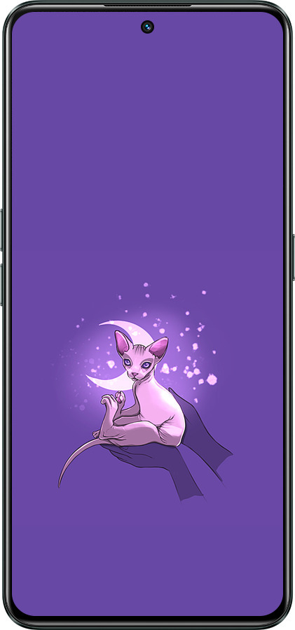 Силиконовый чехол Кот2 для Realme GT Neo3 - 4676u-2590 изображение 