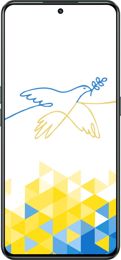 Силиконовый чехол Птица мира для Realme GT Neo3 - 5231u-2590 изображение 