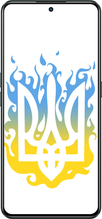 Силиконовый чехол Герб v1 для Realme GT Neo3 - 5258u-2590 изображение 