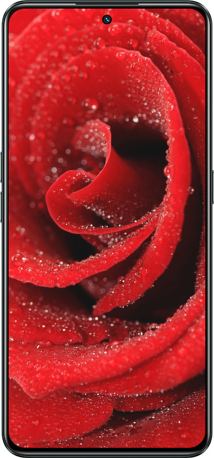 Силиконовый чехол Красная роза для Realme GT Neo3 - 529u-2590 изображение 