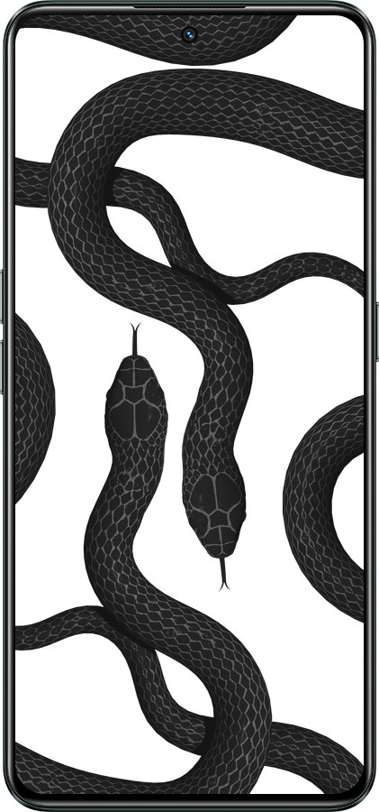 Силиконовый чехол Змеи для Realme GT Neo3 - 5473u-2590 изображение 