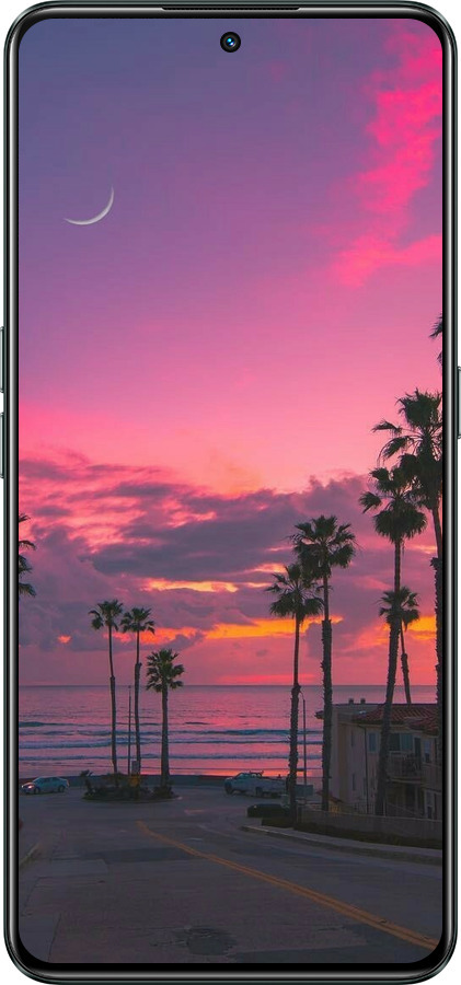 Силиконовый чехол Пальмы для Realme GT Neo3 - 5873u-2590 изображение 