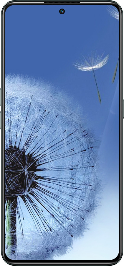 Силиконовый чехол Одуванчик для Realme GT Neo3 - 6005u-2590 изображение 