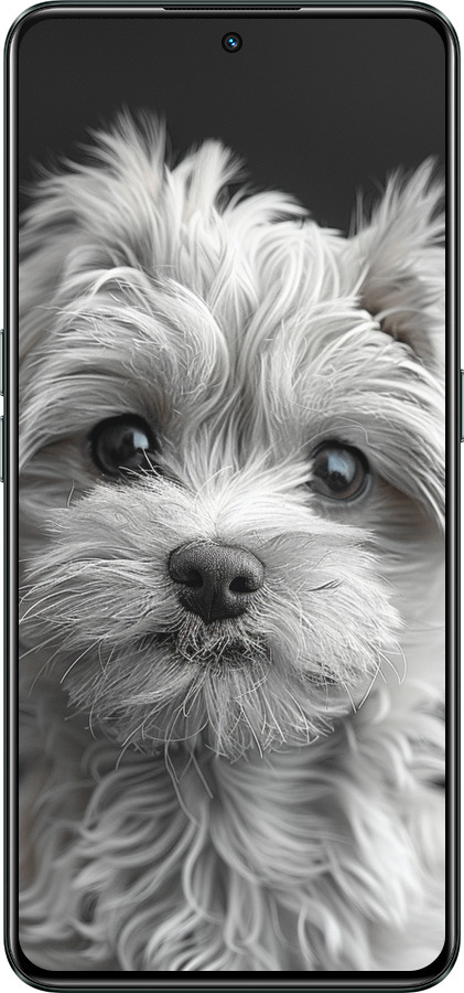 Силиконовый чехол Мальтипу на чорном фоне для Realme GT Neo3 - 6156u-2590 изображение 