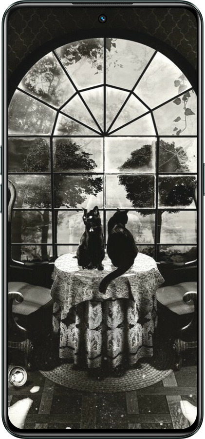 Силиконовый чехол Череп и коты для Realme GT Neo3 - 6432u-2590 изображение 