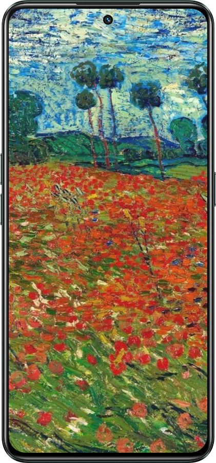 Силіконовий чехол Вінсент Ван Гог-Макове поле для Realme GT Neo3 - 6466u-2590 изображение 