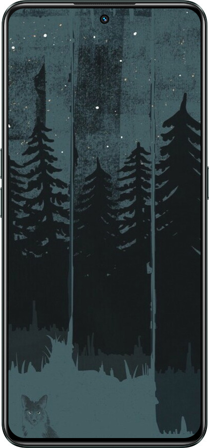 Силиконовый чехол Лиса и ночной лес для Realme GT Neo3 - 6481u-2590 изображение 