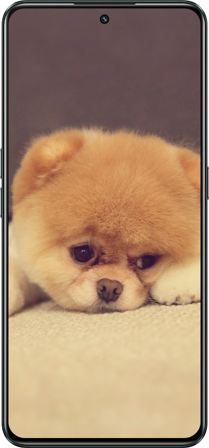 Силиконовый чехол Boo 2 для Realme GT Neo3 - 890u-2590 изображение 