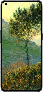 Силиконовый чехол Клод Моне для Realme GT2 Pro - 1193u-2566 изображение 