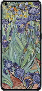 Силиконовый чехол Винсент Ван Гог. Ирисы для Realme GT2 Pro - 161u-2566 изображение 