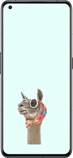 Силиконовый чехол Модная лама для Realme GT2 Pro - 4479u-2566 изображение 