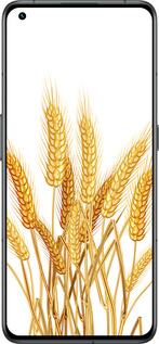 Силиконовый чехол Колоски пшеници для Realme GT2 Pro - 5866u-2566 изображение 