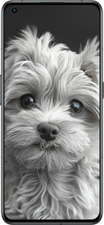 Силиконовый чехол Мальтипу на чорном фоне для Realme GT2 Pro - 6156u-2566 изображение 