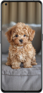 Силиконовый чехол Mini-maltipoo для Realme GT2 Pro - 6158u-2566 изображение 