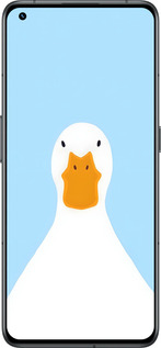 Силиконовый чехол Гусь для Realme GT2 Pro - 6350u-2566 изображение 