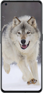 Силиконовый чехол Бегущий волк для Realme GT2 Pro - 826u-2566 изображение 