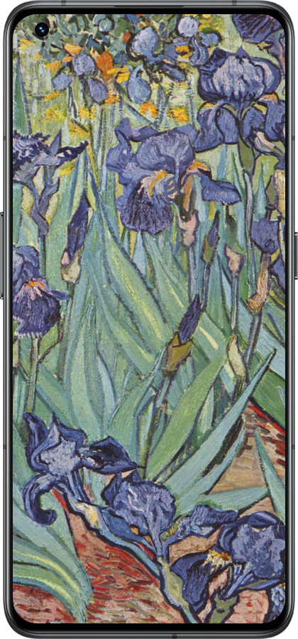 Силиконовый чехол Винсент Ван Гог. Ирисы для Realme GT2 Pro - 161u-2566 изображение 