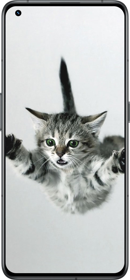 Силиконовый чехол Летящий котёнок для Realme GT2 Pro - 2322u-2566 изображение 