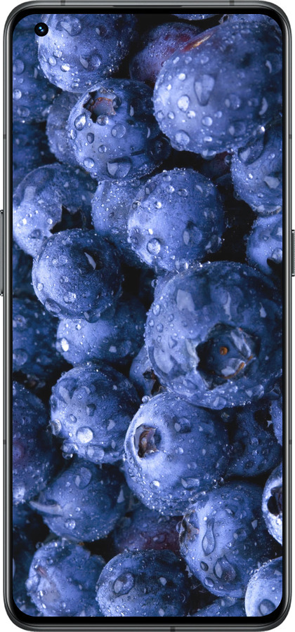 Силиконовый чехол Голубика для Realme GT2 Pro - 4459u-2566 изображение 