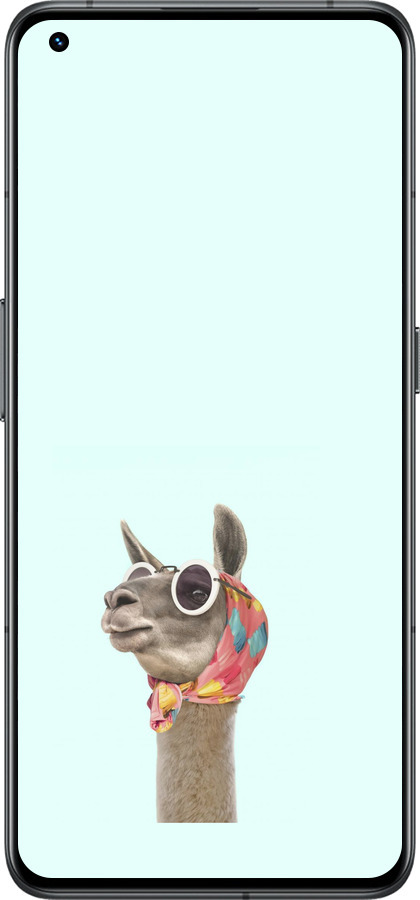 Силиконовый чехол Модная лама для Realme GT2 Pro - 4479u-2566 изображение 