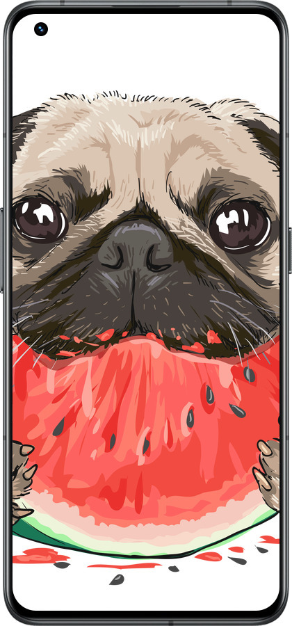 Силиконовый чехол Мопс и арбуз для Realme GT2 Pro - 4665u-2566 изображение 