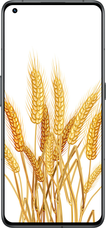 Силиконовый чехол Колоски пшеници для Realme GT2 Pro - 5866u-2566 изображение 