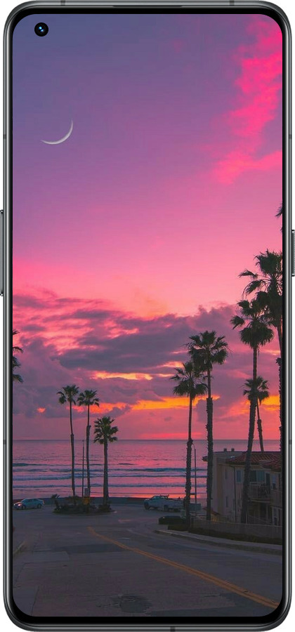 Силиконовый чехол Пальмы для Realme GT2 Pro - 5873u-2566 изображение 